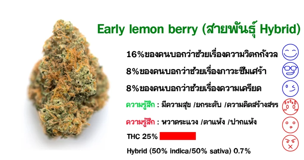 Early Lemon Berry (Hybrid) Cannabis organic farm