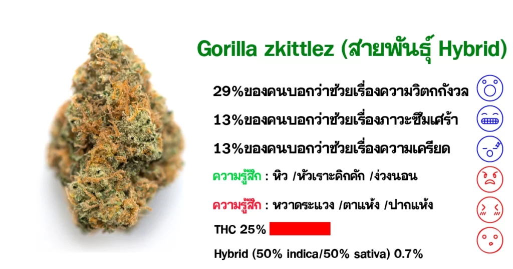 Gorilla Zkittlez (Hybrid Strain) Organic Cannabis Farm.